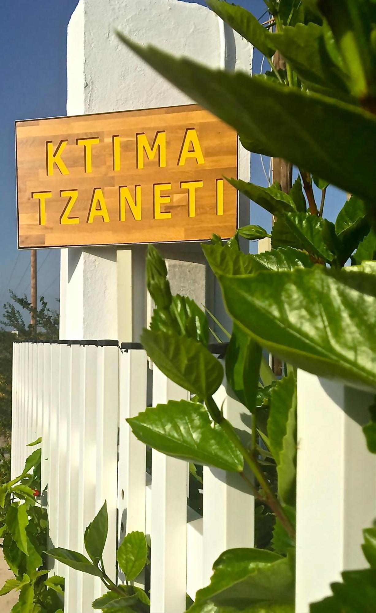 Ktima Tzaneti Villa ลาคาเนีย ภายนอก รูปภาพ